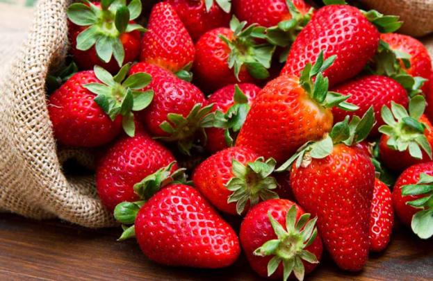 Sagra della Fragola