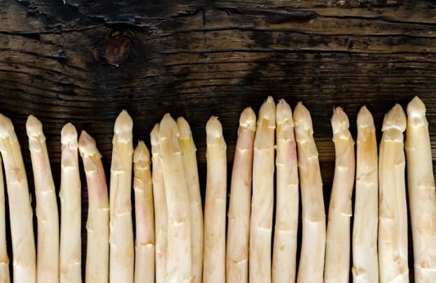 Sagra degli asparagi